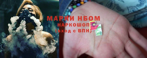 амф Инта