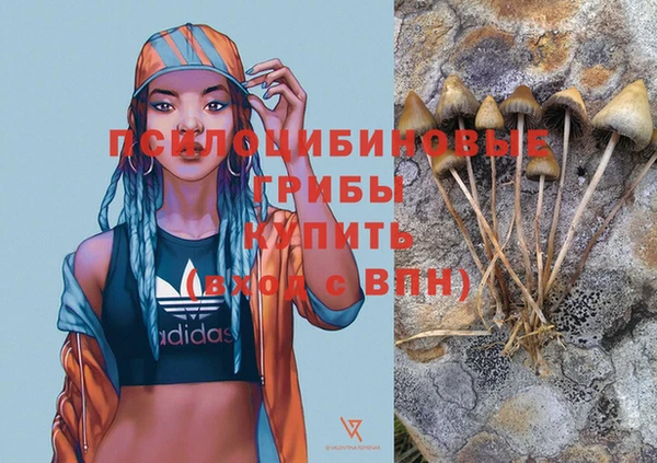 амф Инта