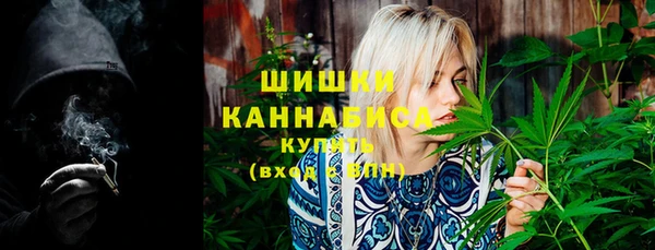 стафф Иннополис