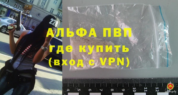 стафф Иннополис