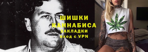 стафф Иннополис
